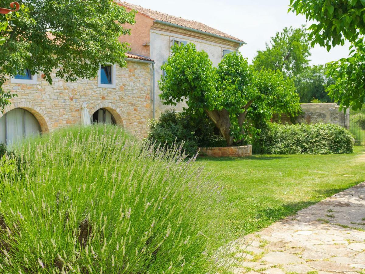 Villa Stancija Negrin By Interhome Gajana エクステリア 写真